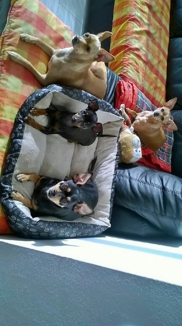 Ecco il nostro "bimbo" - 1