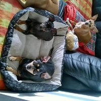 Ecco il nostro "bimbo" - 1