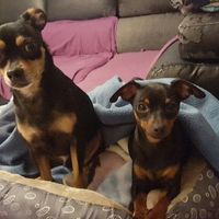 Ecco il nostro "bimbo" - 2