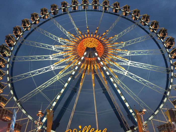  Dichiarazione & Anello 💍 - 2