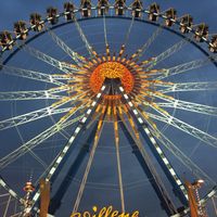  Dichiarazione & Anello 💍 - 2