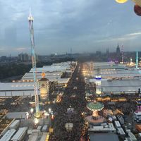  Dichiarazione & Anello 💍 - 3