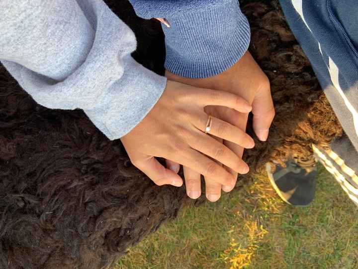Anello di fidanzamento - 1