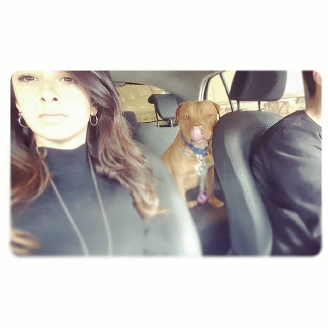 Il mio cagnolone 💙 - 1