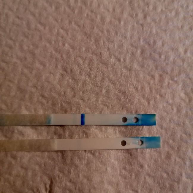 Chi non le aspetta per Novembre  2020 🍀❤️🍀❤️🍀❤️🍀❤️🍀❤️🍀❤️🍀 - 1