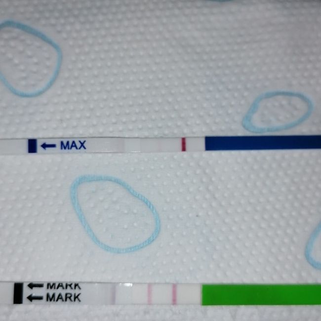 Chi non le aspetta x Gennaio 2021❤️💪🏻🤞🏻🎉🍀🍀 - 1