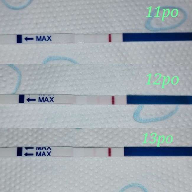 Chi non le aspetta x Gennaio 2021❤️💪🏻🤞🏻🎉🍀🍀 2