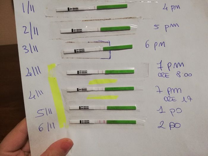 Chi non le aspetta per novembre 2019 - 1