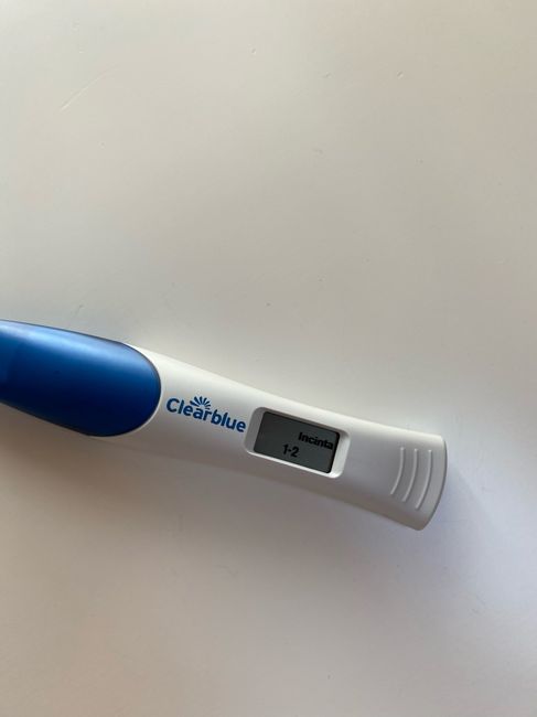 a sorpresa 🤰🏻 - 1