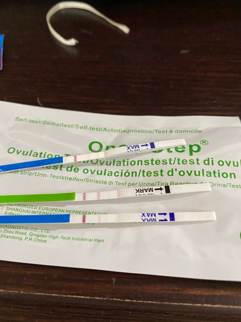 Test ovulazione come test di gravidanza 5