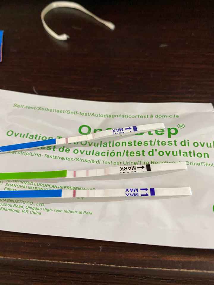 Test ovulazione come test di gravidanza - 1