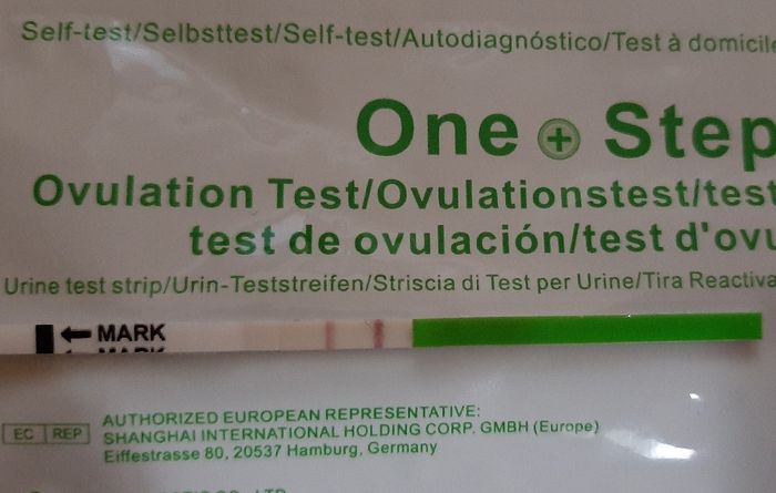Test ovulazione positivo al 14po 1