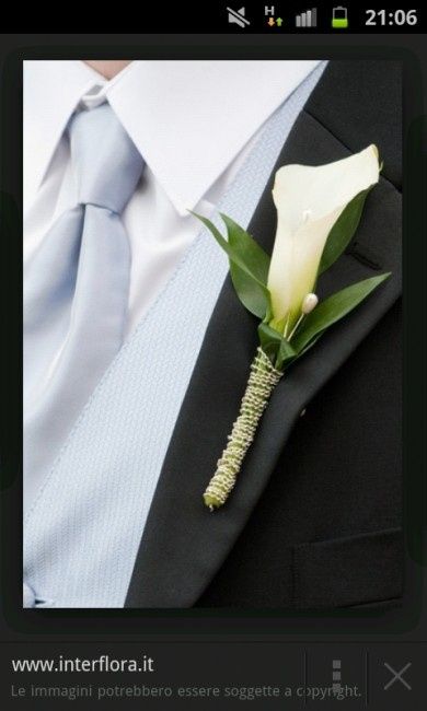 Fiore all'occhiello - 2
