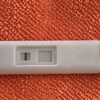 Linea test immaginaria? - 1