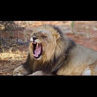 Sud africa e mauritius settembre 2017 - 1