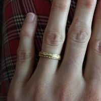  Fedi "zigrinate" - 1