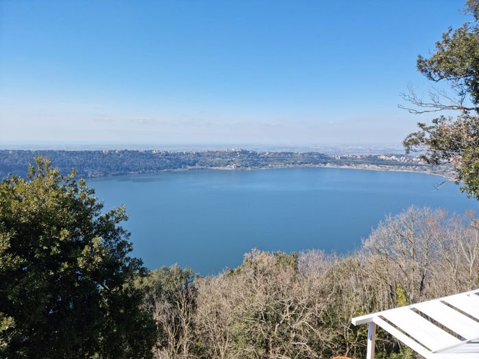 Tema lago dei Cigni 1