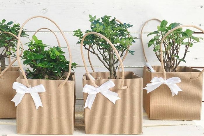 Tema del matrimonio.. Albero della vita 🥰 15