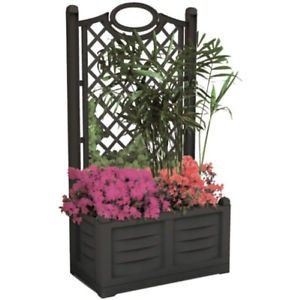 Ingresso di casa - 1