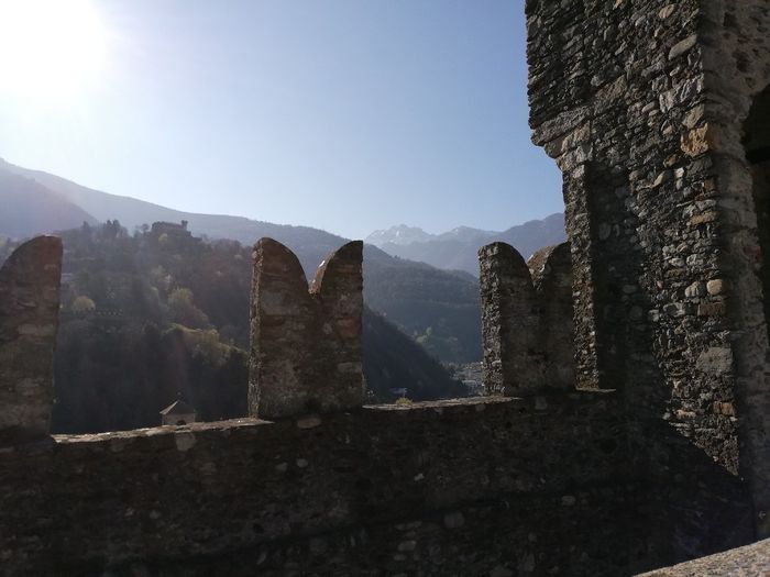 Luna di miele in anticipo ma con gli amici speciali 3