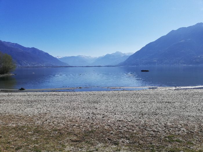 Luna di miele in anticipo ma con gli amici speciali 7