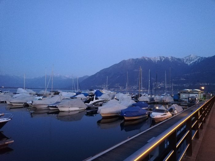 Luna di miele in anticipo ma con gli amici speciali 10