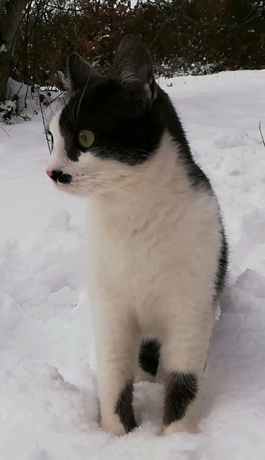 Collaboratori pelosi ❤️ - 2