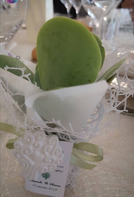 Piantine grasse o no? 8