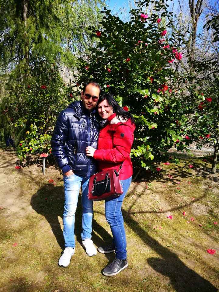 Luna di miele in anticipo ma con gli amici speciali - 1