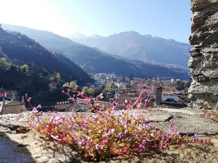 Luna di miele in anticipo ma con gli amici speciali - 2