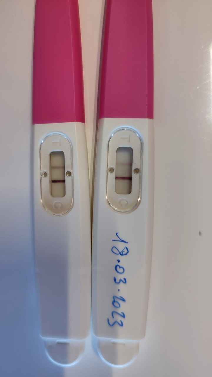 Mamme novembre 2023 - 1