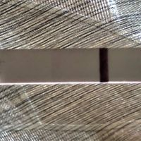Cosa vedete in questo test? - 1