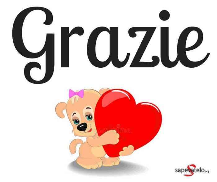 cuscino porta Fedi! - 1