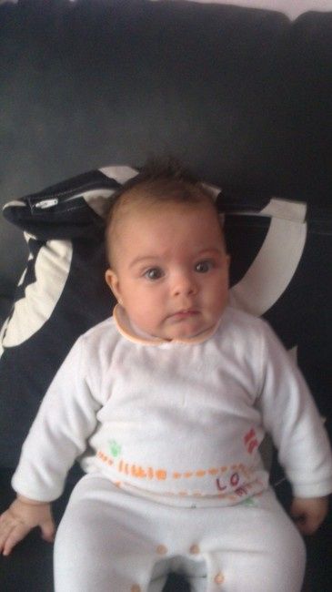 Fuori le panze!!! - 2