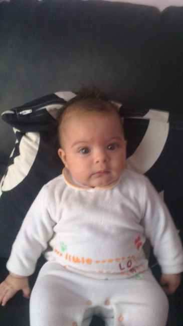 Fuori le panze!!! - 2