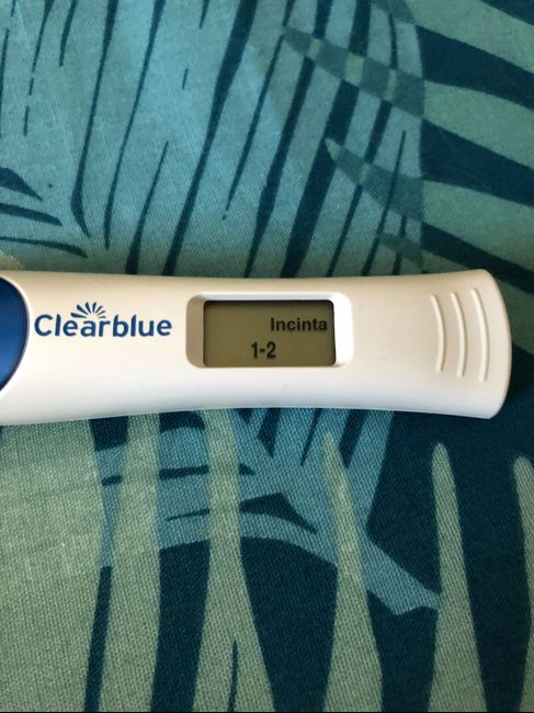 Febbraio 2019 - le aspiranti future mamme 4