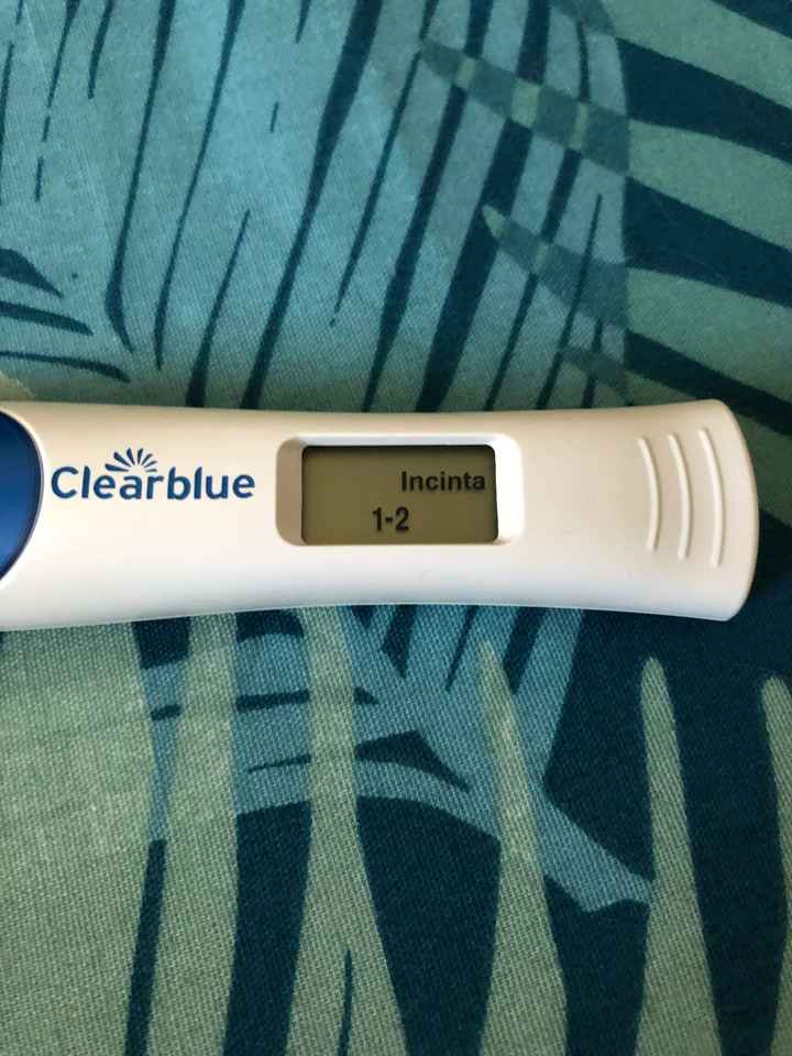 Febbraio 2019 - le aspiranti future mamme - 1