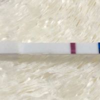 Ghost Line o linea? - 1