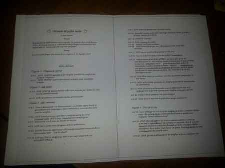 Manuale del perfetto testimone