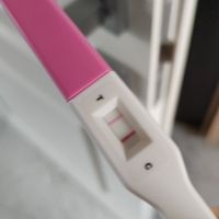 pma 2021...chi come me aspetta con ansia il nuovo anno? - 1