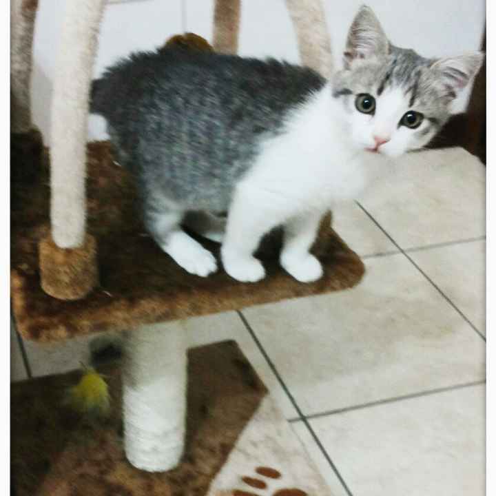 Foto con pelosetti - 1