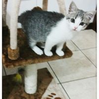 Foto con pelosetti - 1