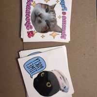 Idee intrattenimento ricevimento - 1