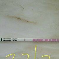 Interpretazione stick canadesi ovulazione help! - 1