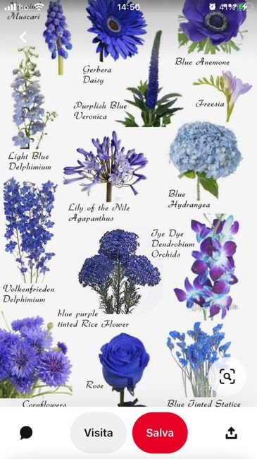 Decorazioni floreali con il blu 23