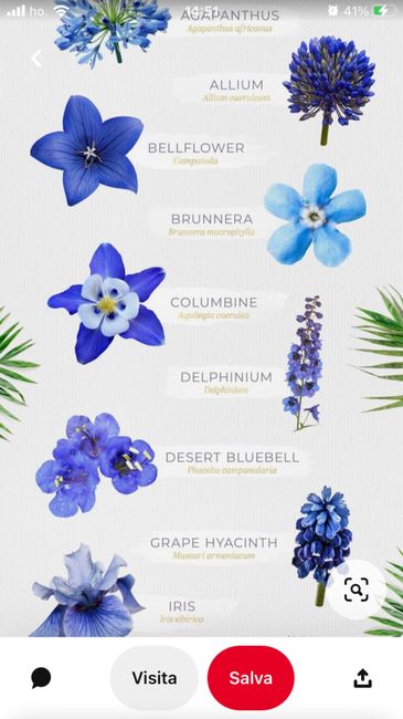 Decorazioni floreali con il blu 24