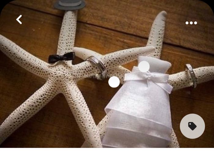 Suggerimento Portafedi 11