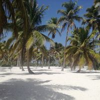 Il nostro viaggio di nozze - 3