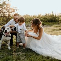 i nostri amici pelosi nel giorno delle nozze ❤️😍🐺🐱 - 1