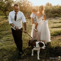 i nostri amici pelosi nel giorno delle nozze ❤️😍🐺🐱 - 2